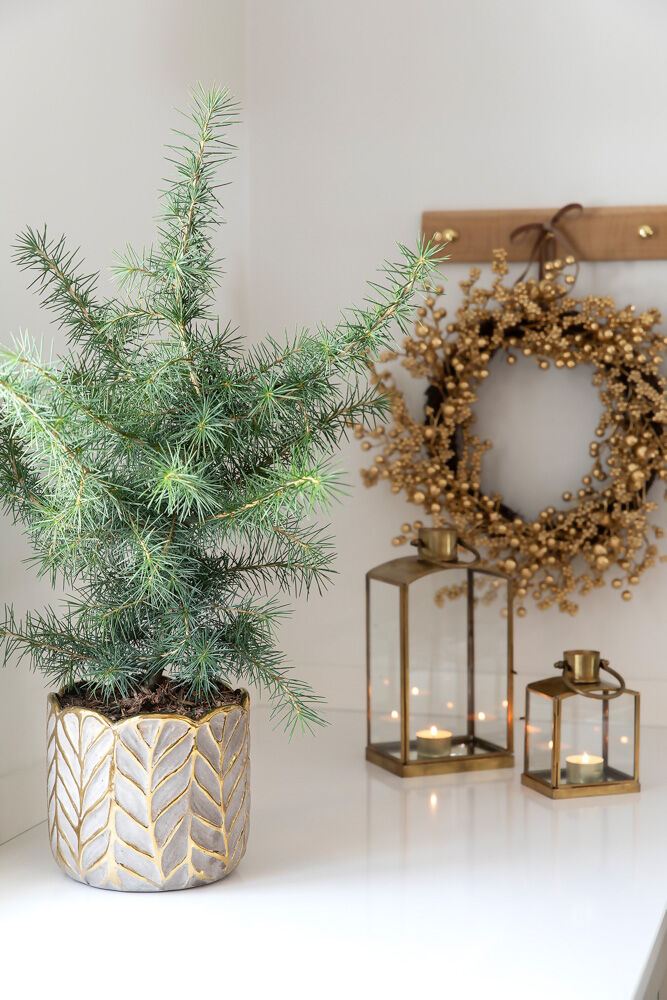 Julepynt